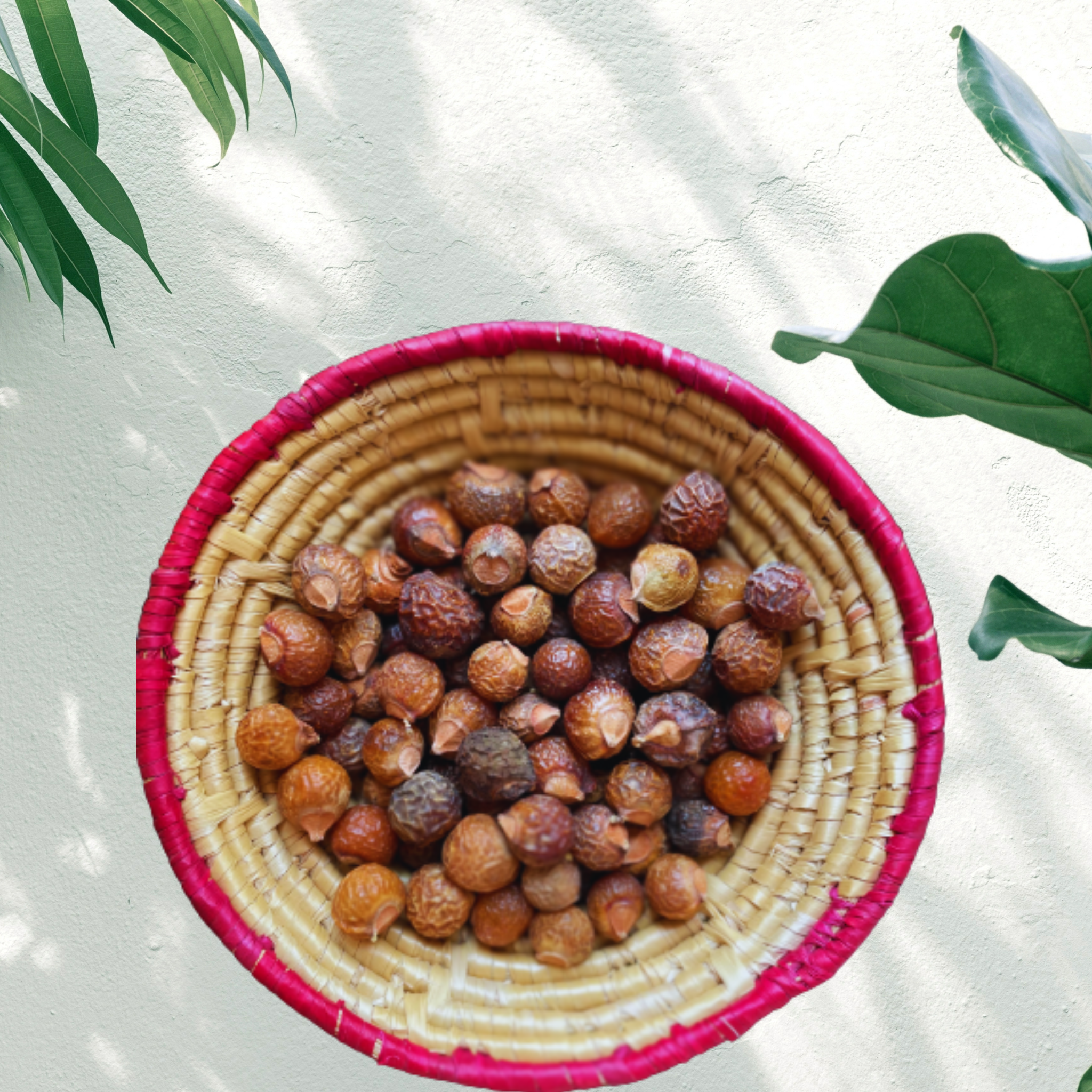 Reetha nuts / Natural Soapnuts - 300g